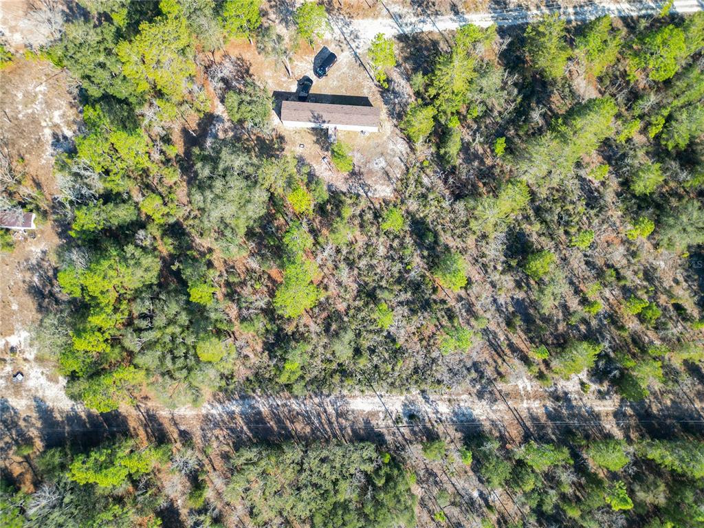 Tbd Northeast 58th Street Bronson, FL 32621 - Photo 12 of 22 a view of a plant with a plant