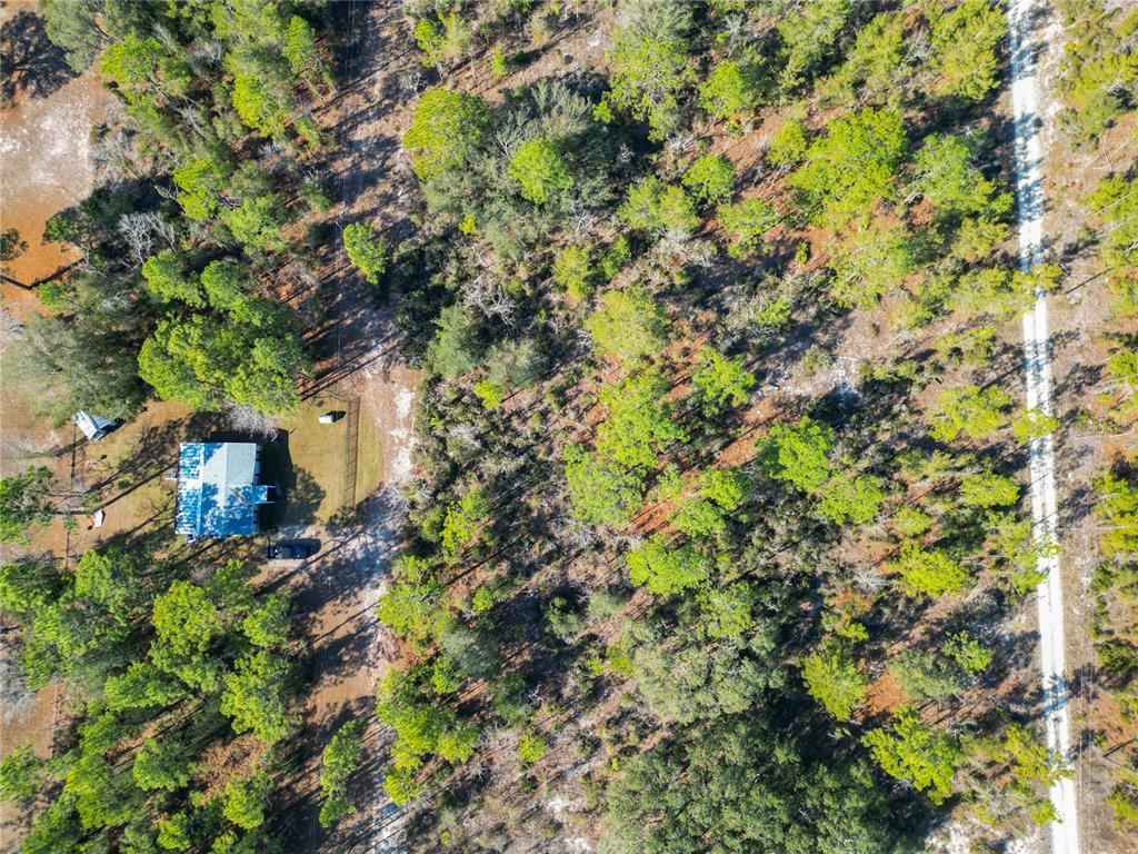 Tbd Northeast 58th Street Bronson, FL 32621 - Photo 13 of 22 a plant that is in a garden