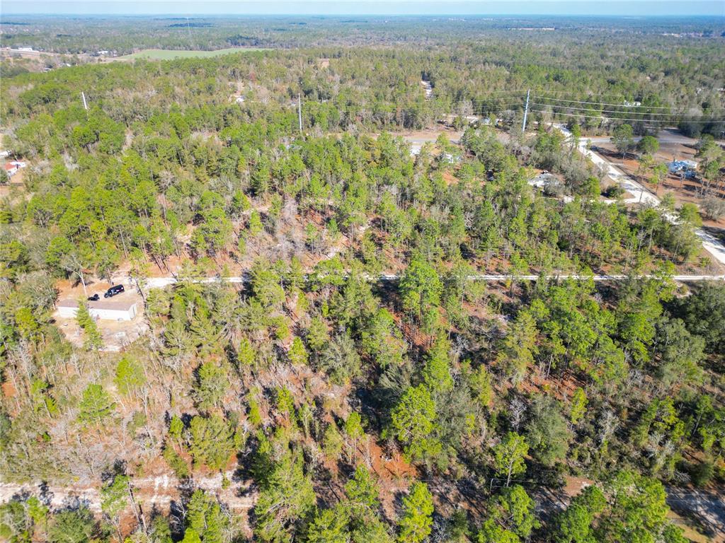 Tbd Northeast 58th Street Bronson, FL 32621 - Photo 15 of 22 a view of a city with lush green forest