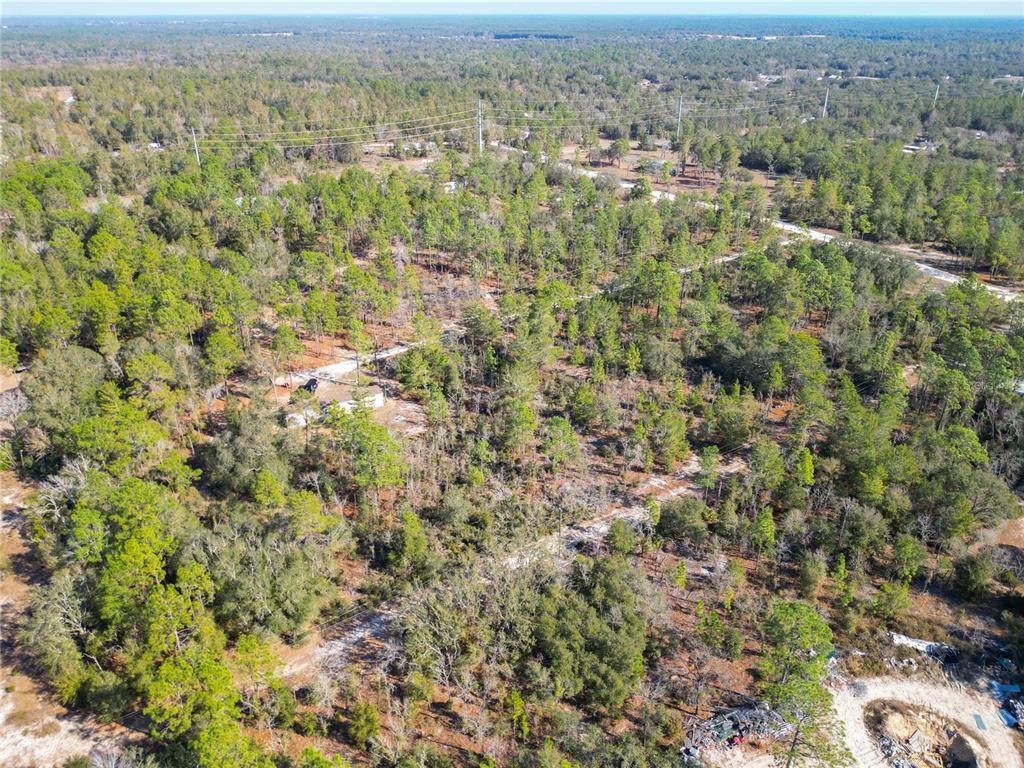 Tbd Northeast 58th Street Bronson, FL 32621 - Photo 16 of 22 an aerial view of residential houses with outdoor space and trees