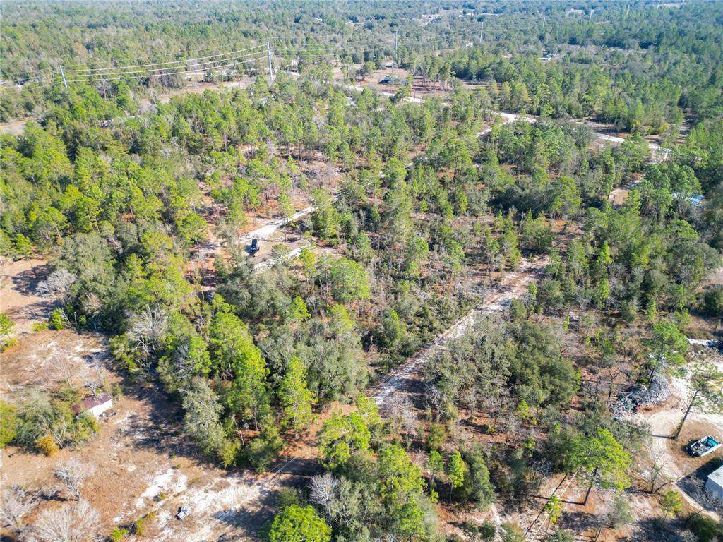 Tbd Northeast 58th Street Bronson, FL 32621 - Photo 17 of 22 a view of a garden with a plant