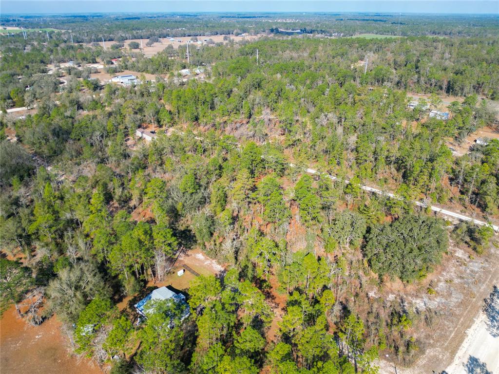 Tbd Northeast 58th Street Bronson, FL 32621 - Photo 19 of 22 a view of a forest with an outdoor space