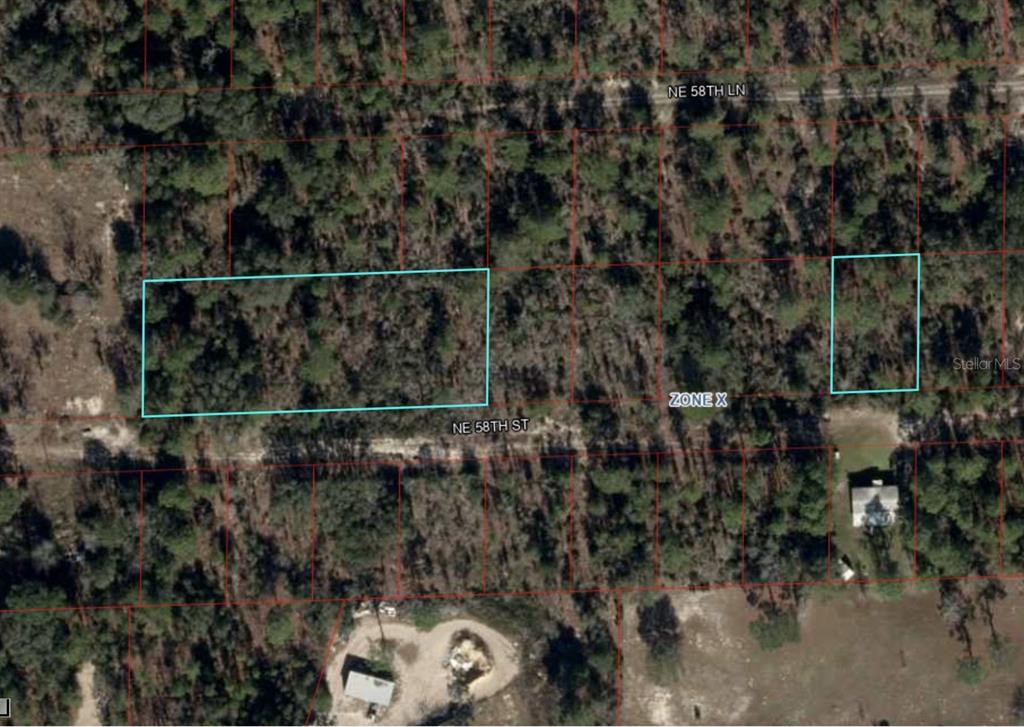 Tbd Northeast 58th Street Bronson, FL 32621 - Photo 21 of 22 a view of a forest