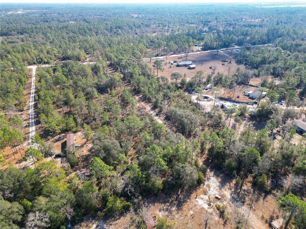 Tbd Northeast 58th Street Bronson, FL 32621 - Photo 10 of 22 an aerial view of forest