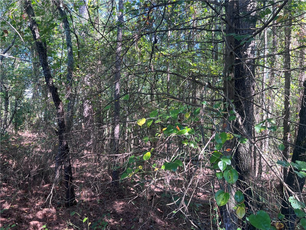 0 Oak Grove Road Westminster, SC 29693 - Photo 2 of 11