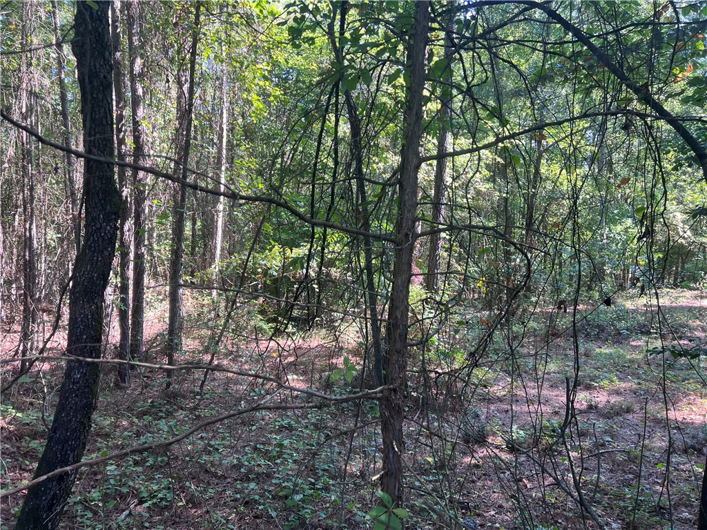 0 Oak Grove Road Westminster, SC 29693 - Photo 3 of 11