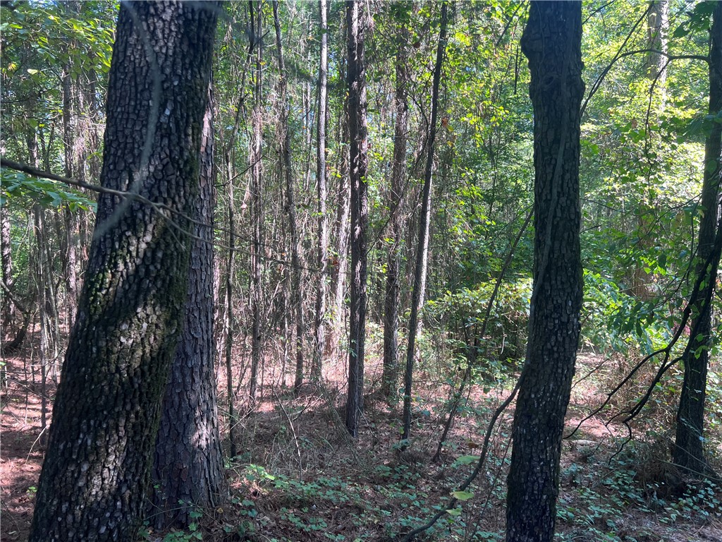 0 Oak Grove Road Westminster, SC 29693 - Photo 4 of 11