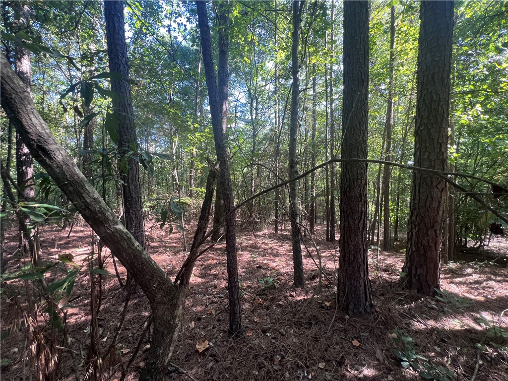 0 Oak Grove Road Westminster, SC 29693 - Photo 8 of 11
