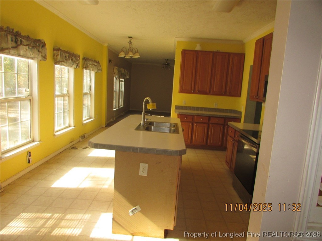 1807 Horseshoe Bend Road Erwin, NC 28339 - Photo 3 of 13 Kitchen