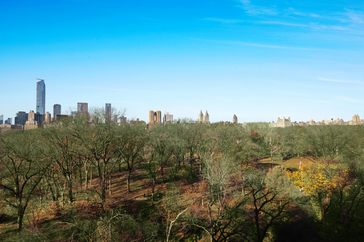 870 5th Avenue, Unit 11A Manhattan, NY 10065 - Photo 10 of 13 a view of a city with lush green forest