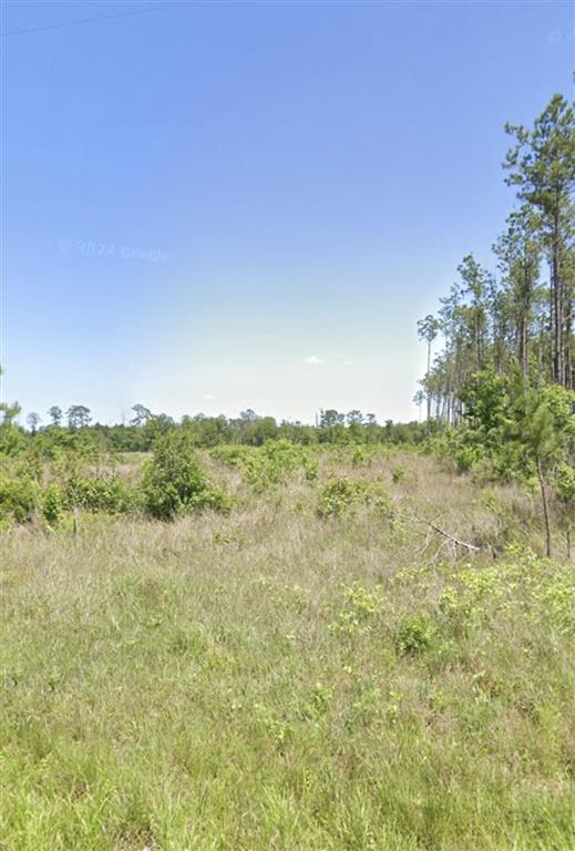 0 Alcock Road Longville, LA 70652 - Photo 2 of 3