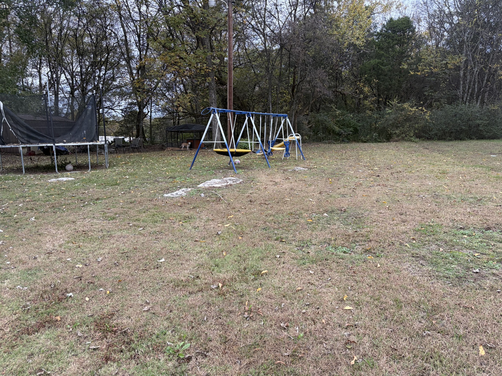 263 Hogan Road Gordonsville, TN 38563 - Photo 17 of 22 a view of park with green space