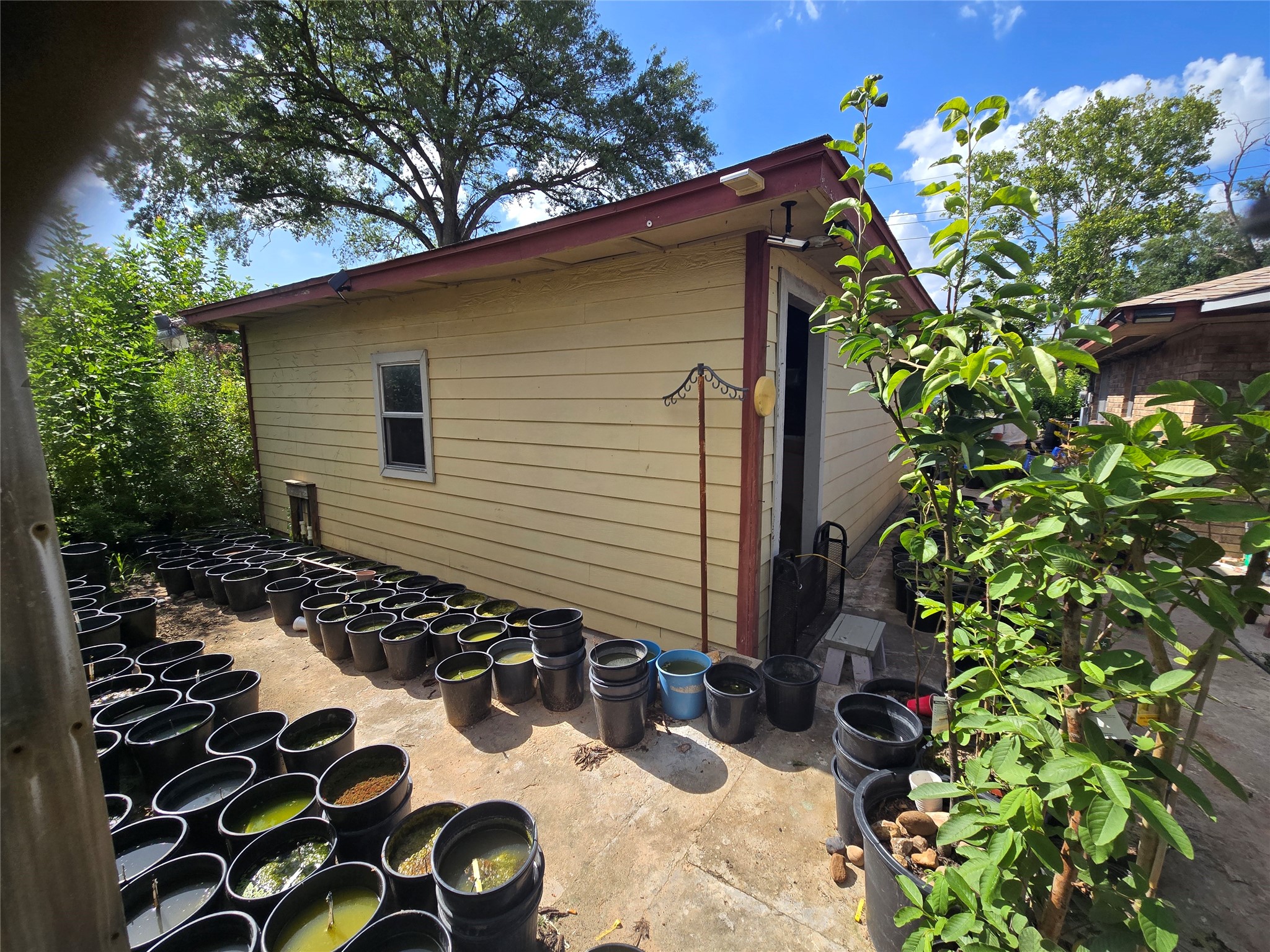 6713 Breen Drive Houston, TX 77086 - Photo 11 of 21 a backyard of a house with lots of green space