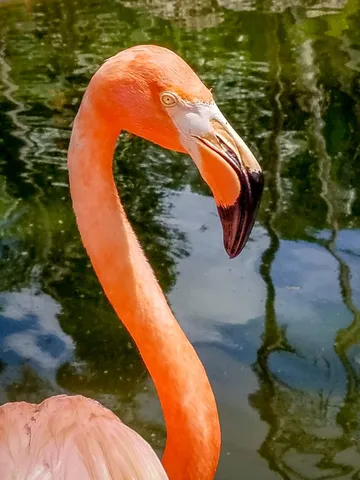 $424,900 | 4065 Crystal Lake Drive, Deerfield Beach, FL 33073