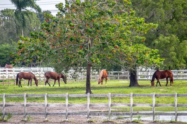 $424,900 | 4065 Crystal Lake Drive, Deerfield Beach, FL 33073