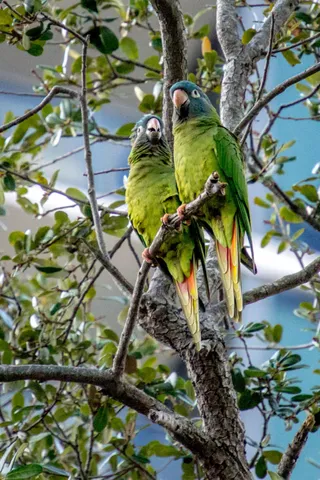 $424,900 | 4065 Crystal Lake Drive, Deerfield Beach, FL 33073