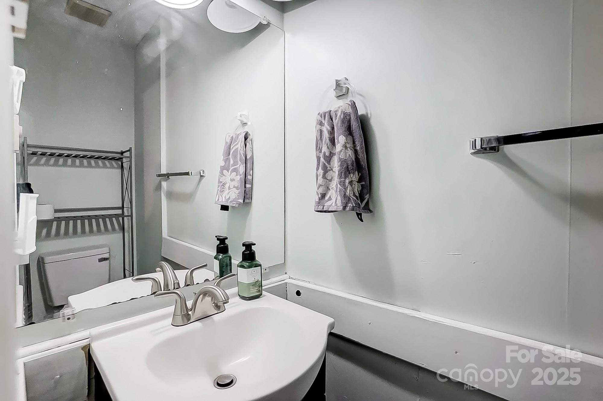 976 Pointview Lane Lincolnton, NC 28092 - Photo 34 of 43 a bathroom with a sink and a mirror
