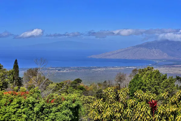 $2,750,000 | 16 Kekaulike Avenue, Kula, HI 96790