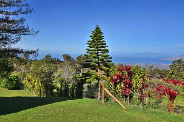 $2,750,000 | 16 Kekaulike Avenue, Kula, HI 96790