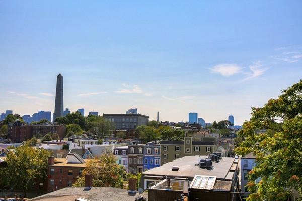 30 Polk Street, Unit 103 Boston, MA 02129 - Photo 7 of 8