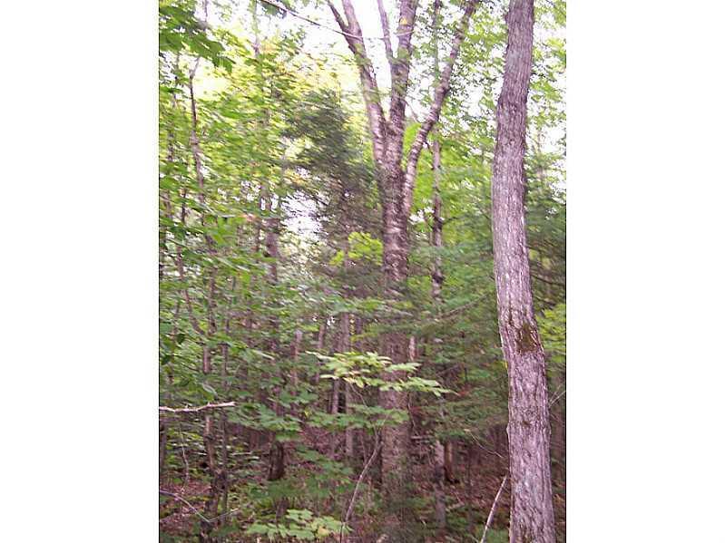 Lot 6 Us Rt 2 & Common Road Dixfield, ME 04224 - Photo 10 of 12 Land/Lot.