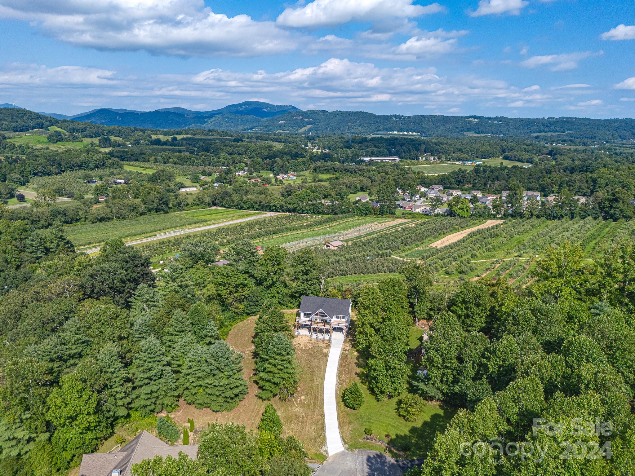 171 Tatham Road Hendersonville, NC 28792 - Photo 19 of 19 a view of a city with lush green forest