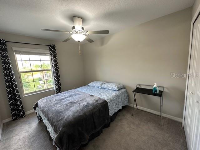 8517 Reedville Street New Port Richey, FL 34654 - Photo 7 of 18