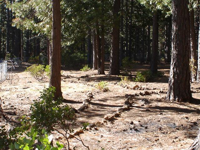 7811 Hidden Meadows Road Shingletown, CA 96088 - Photo 23 of 24 Walking Trails