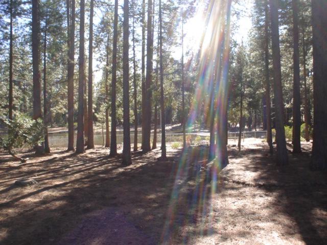 7811 Hidden Meadows Road Shingletown, CA 96088 - Photo 6 of 24 Grounds