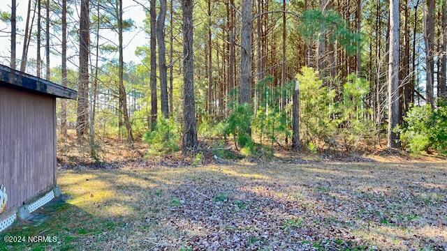 411 West Littlefield Road Ayden, NC 28513 - Photo 40 of 46 back of the lot
