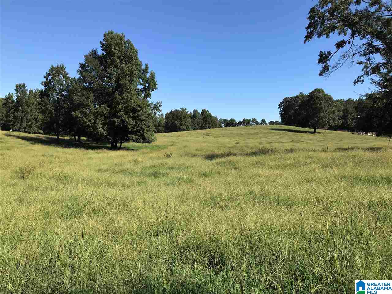 5425 East Mill Road Lineville, AL 36266 - Photo 42 of 50