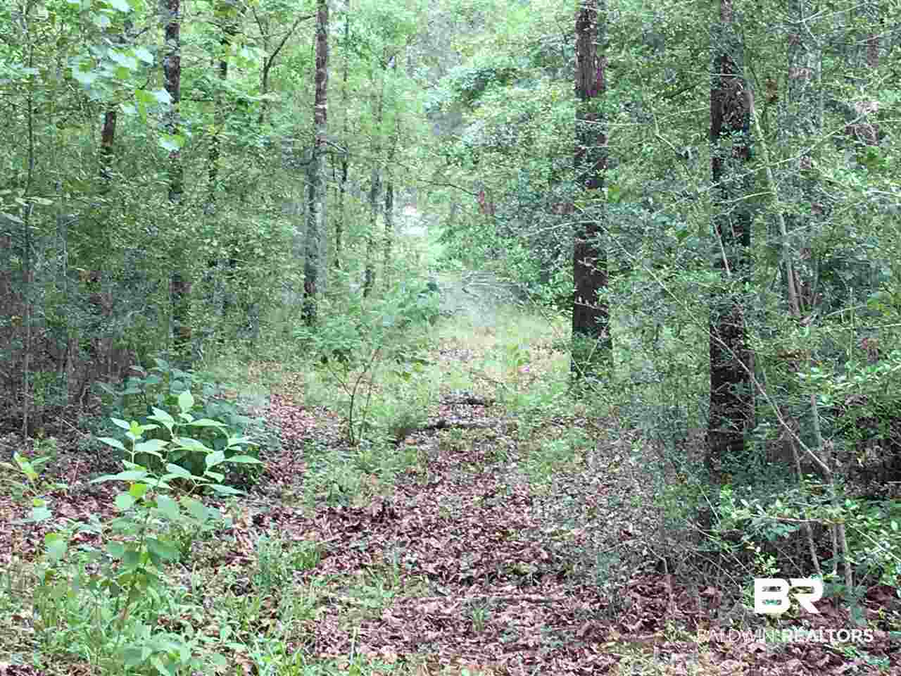 0 New Hope Church Road Robertsdale, AL 36567 - Photo 9 of 17