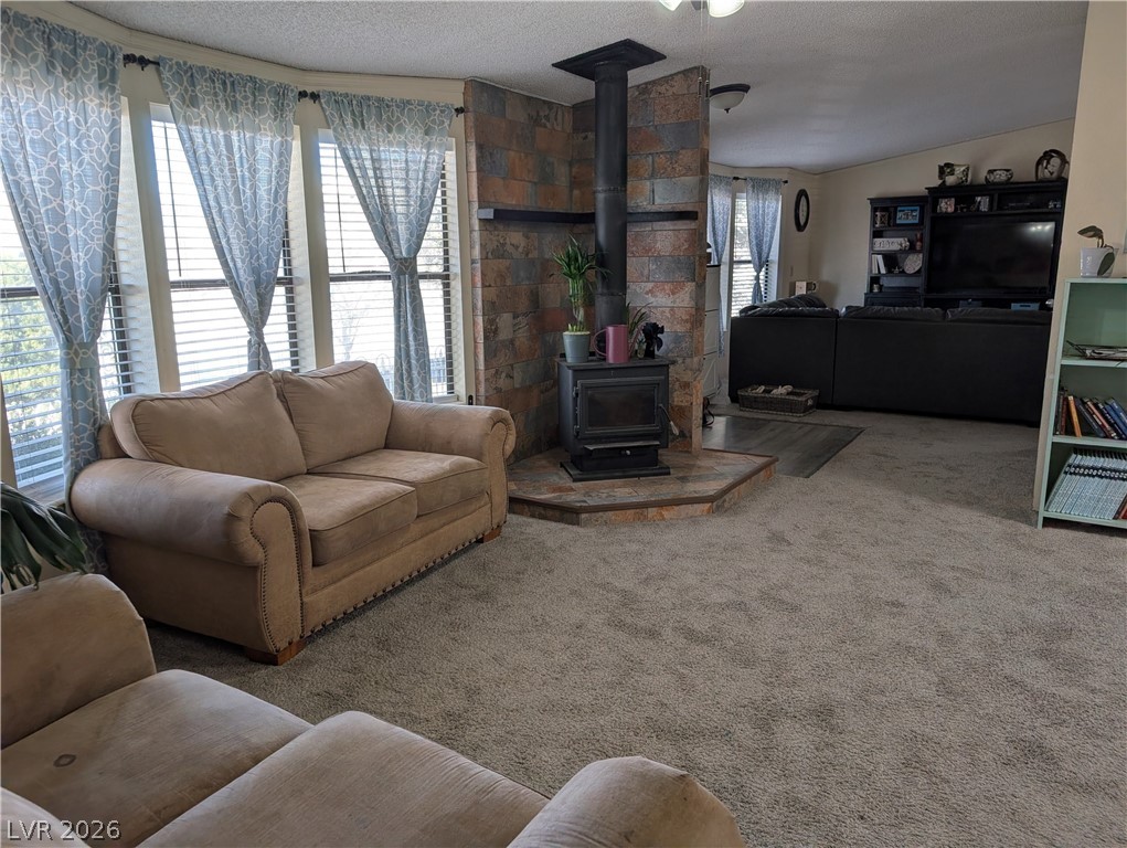 320 6th Street Panaca, NV 89042 - Photo 12 of 31 Carpeted living room with a wood stove