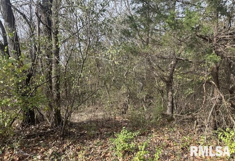 Lot 177 Sycamore Street Goreville, IL 62939 - Photo 2 of 3