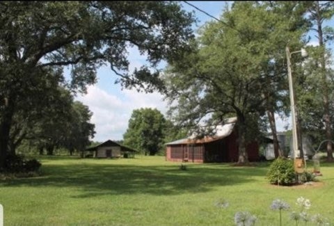 4701 McConnell Bridge Road Adel, GA 31620 - Photo 17 of 17 Gallery Image 17