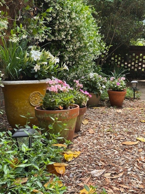 122 Talbot Road Savannah, GA 31410 - Photo 41 of 58