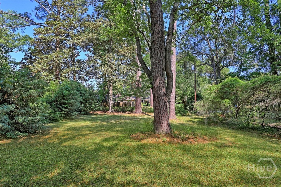 122 Talbot Road Savannah, GA 31410 - Photo 46 of 58