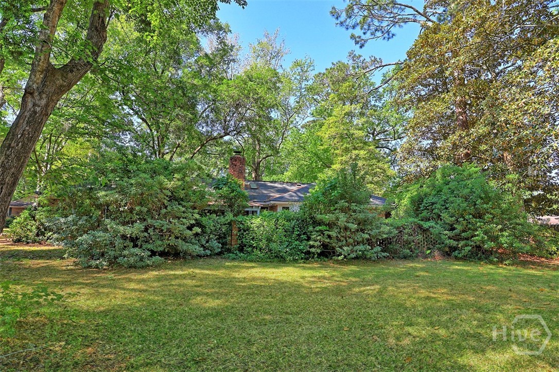 122 Talbot Road Savannah, GA 31410 - Photo 47 of 58