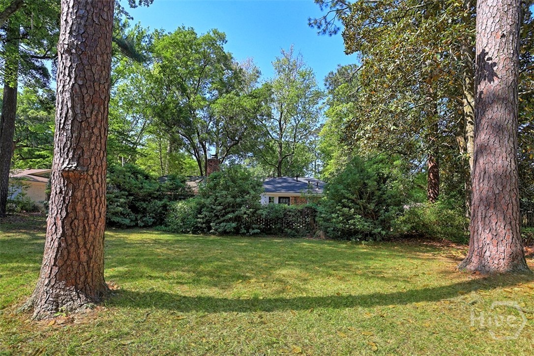 122 Talbot Road Savannah, GA 31410 - Photo 48 of 58