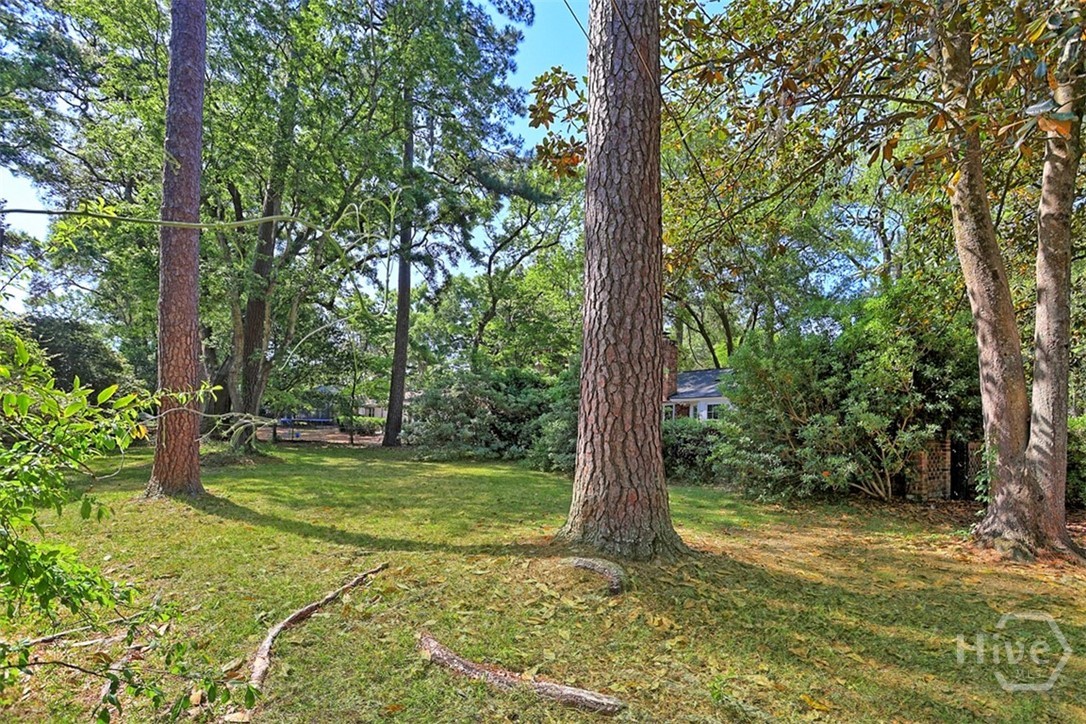 122 Talbot Road Savannah, GA 31410 - Photo 49 of 58