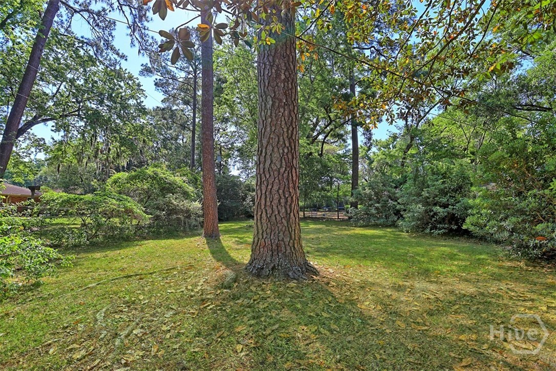 122 Talbot Road Savannah, GA 31410 - Photo 50 of 58