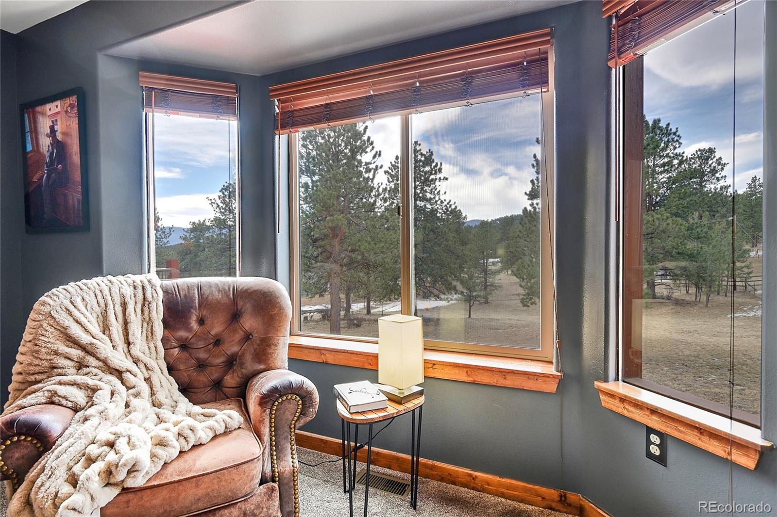 2284 Roland Drive Bailey, CO 80421 - Photo 8 of 16 Gallery Image 8