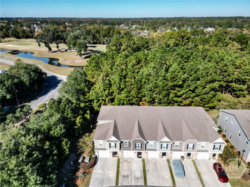 41 Horizon Lane Richmond Hill, GA 31324 - Photo 4 of 37