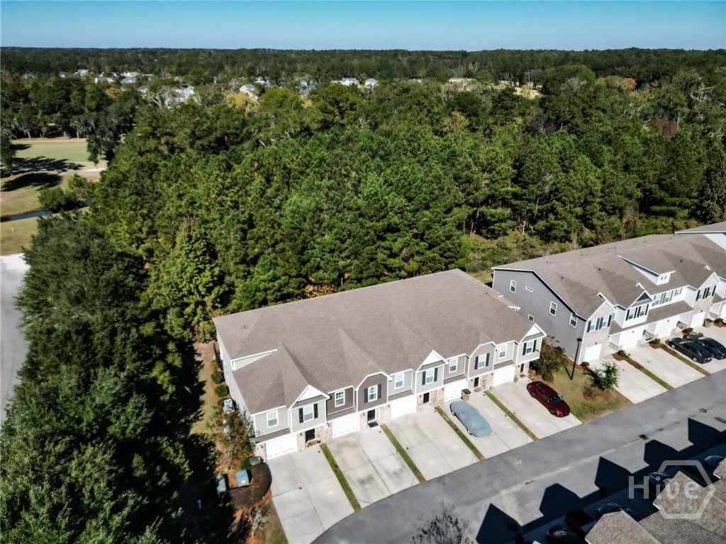 41 Horizon Lane Richmond Hill, GA 31324 - Photo 5 of 37