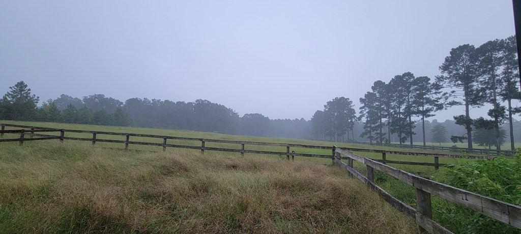 1724 Coleman Bridge Road Wagener, SC 29164 - Photo 13 of 35