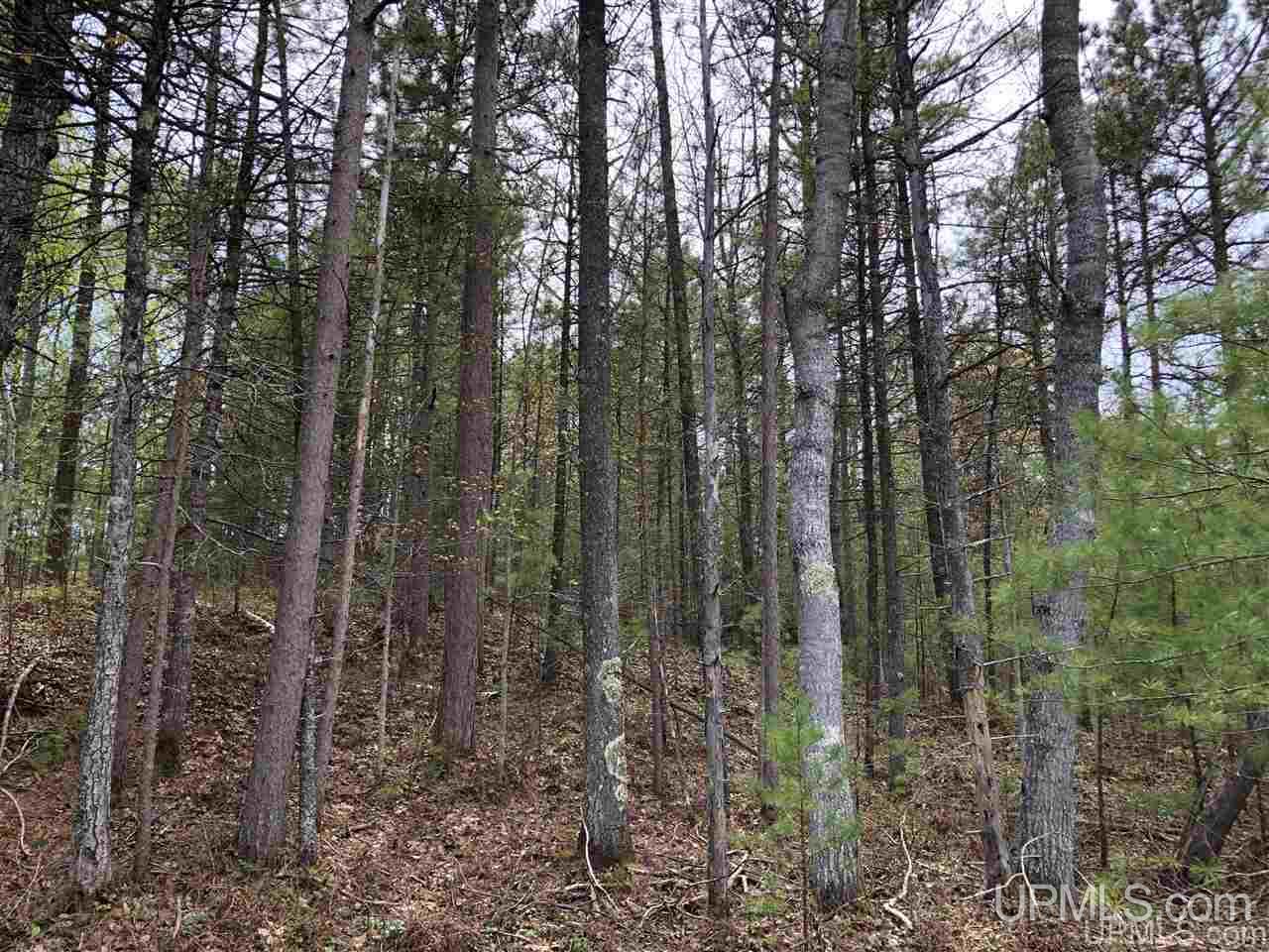 Tbd South Lake Michigan Shores Road Gulliver, MI 49840 - Photo 12 of 13