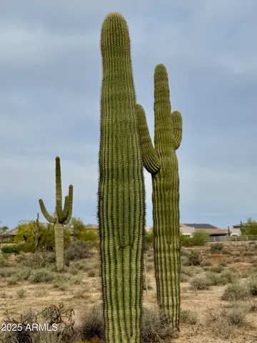 $790,000 | 27211 North 67th Street, Unit B2, Scottsdale, AZ 85266