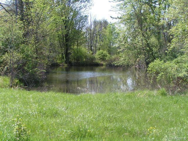 64980 Romeo Plank Road Ray, MI 48096 - Photo 4 of 14 Romeo Plank #4 pond
