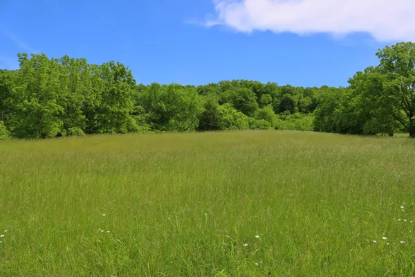 $249,900 | 25.78 McDonald Ferry Road, Frankfort, KY 40601