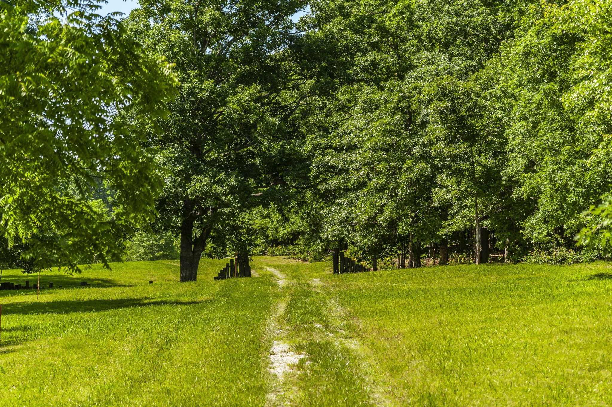 12 Keytown Road Gallatin, TN 37066 - Photo 18 of 43 a view of green field
